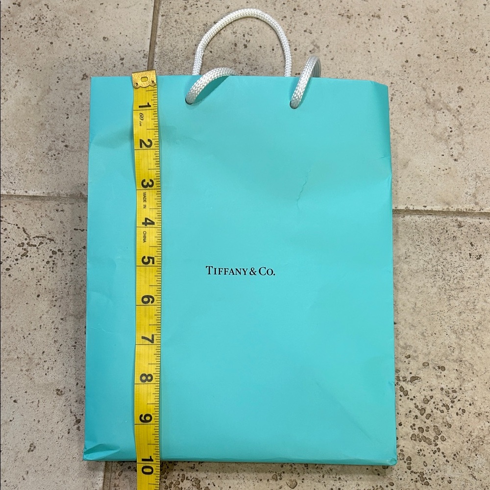 Tiffany & Co. Turquoise Gift Bag with White Handles